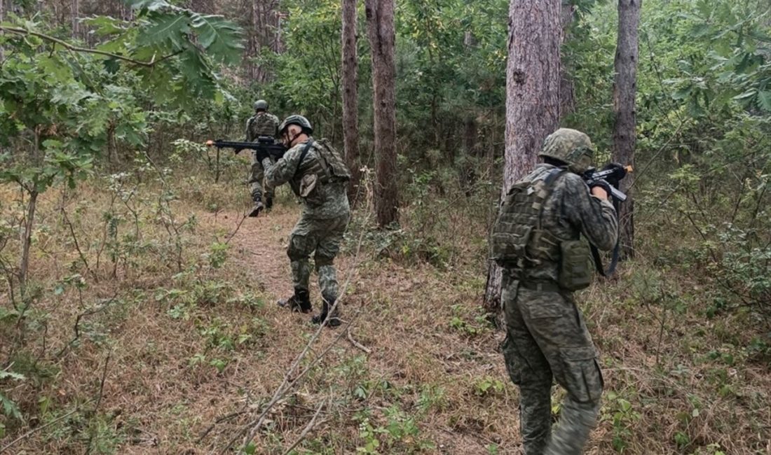 Türk Temsil Heyeti, Kosova