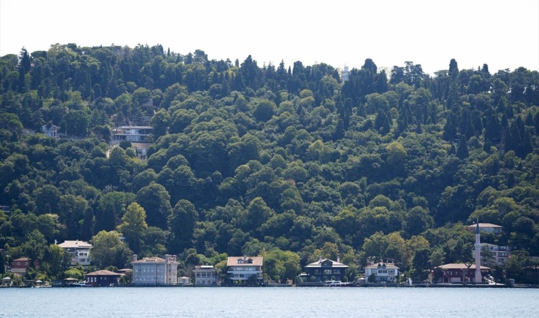 Üsküdar Vaniköy'de izinsiz yapılan