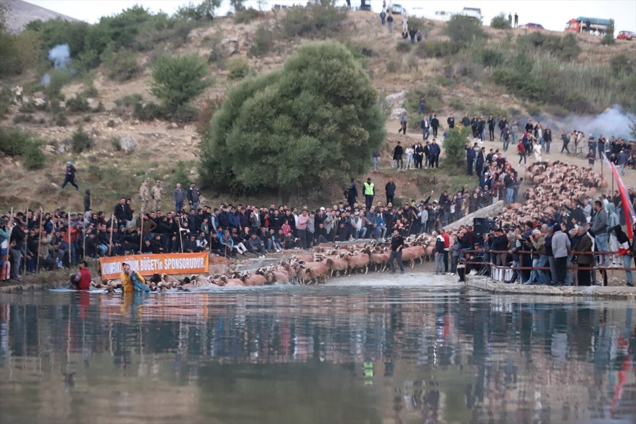 Burdur'un Tefenni ilçesinde 7 asrı aşan sudan koyun geçirme geleneği sürdürülüyor. "Yünüm Böğet"...