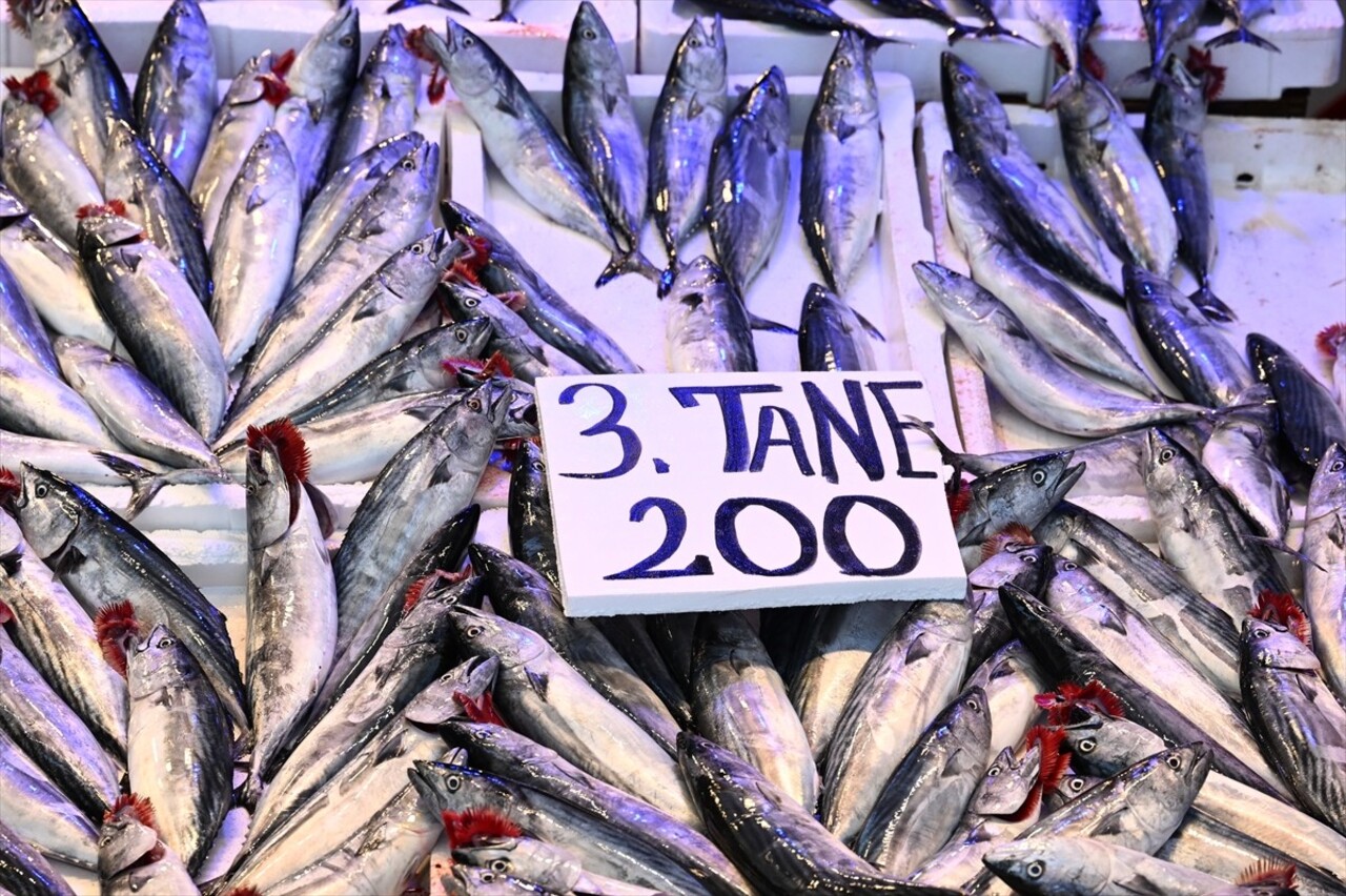 Trabzon'da av yasağının sona ermesiyle denize açılan balıkçıların avladığı palamut, sabahın erken...