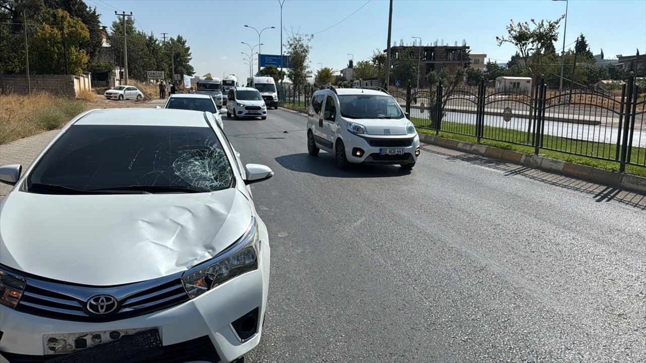 Adıyaman'da otomobilin çarptığı kadın hayatını kaybetti.