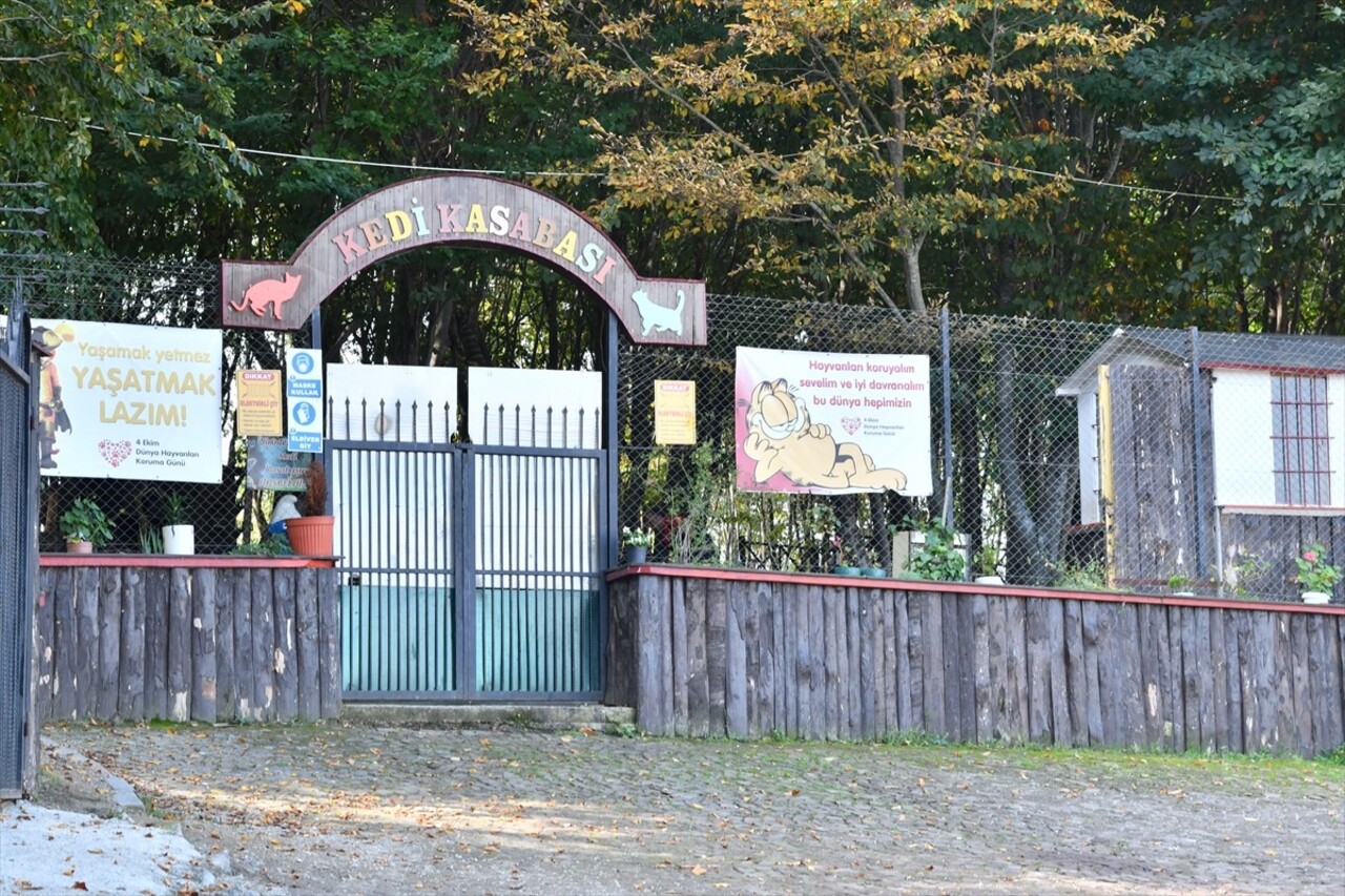 Samsun Büyükşehir Belediyesi'ne bağlı Güçten Düşmüş Sahipsiz Hayvan Bakım Merkezi bünyesinde...