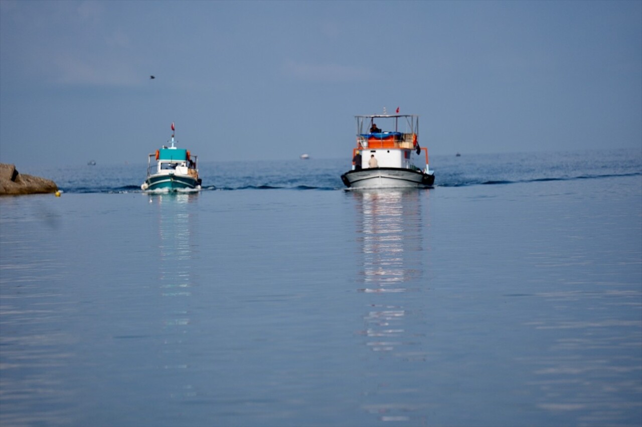 Düzce'nin Akçakoca ilçesinde balıkçılar limana bol miktarda palamutla döndü. Batı Karadeniz'in...