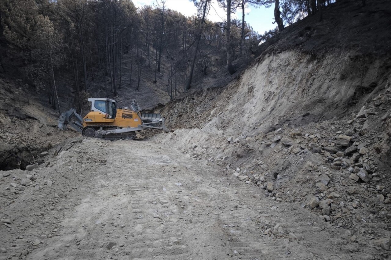 Bolu'nun Göynük ilçesinde yaklaşık 3 gün süren mücadeleyle kontrol altına alınan yangında zarar...