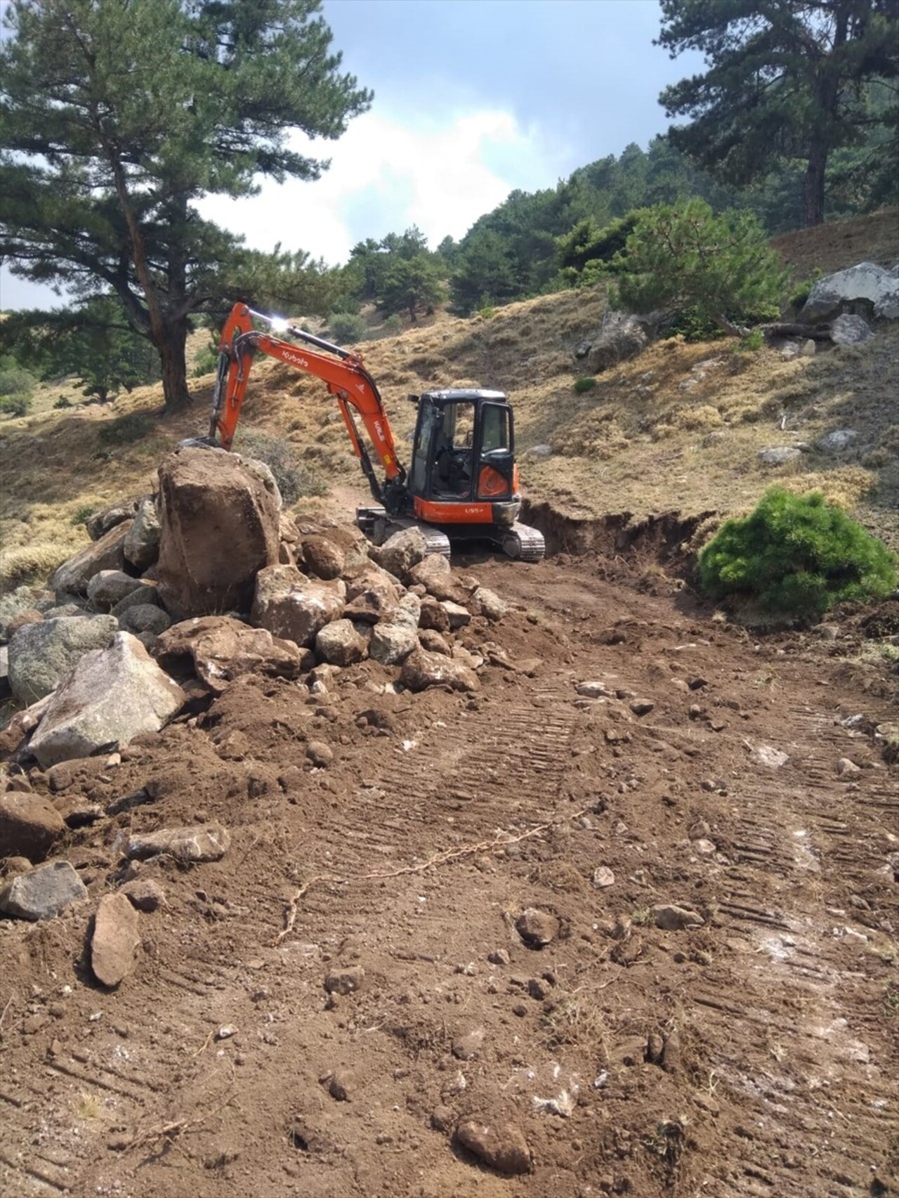 Afyonkarahisar'da yaylada eğimli arazide yuvarlanan bir inek, 1,5 kilometrelik yol açılarak...