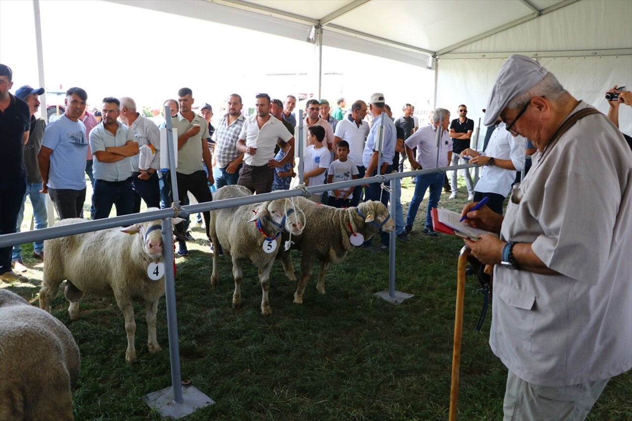 Tekirdağ'ın Süleymanpaşa ilçesinde "14. Tarım ve Teknoloji Günleri Fuarı" kapsamında "koç...