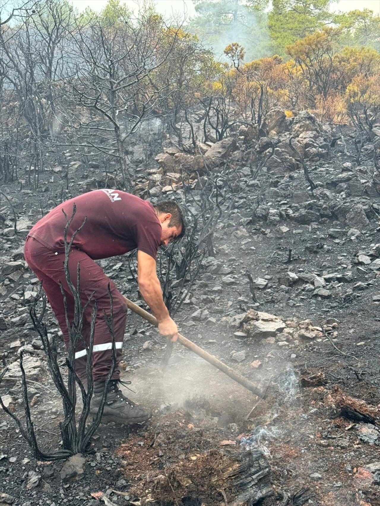 Muğla'da, yıldırım isabet eden 50 noktada çıkan orman yangınları söndürüldü.