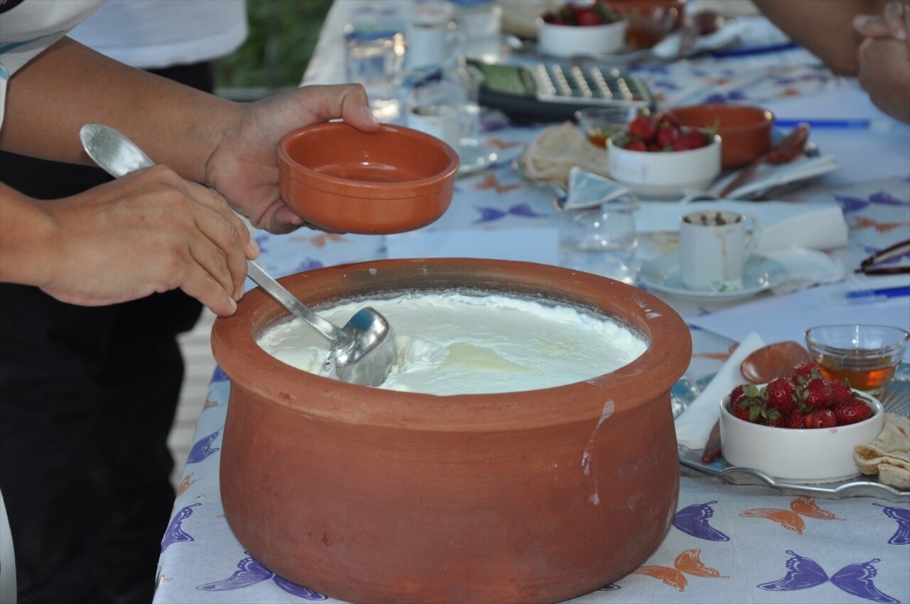 Mersin'de bu yıl 51. Uluslararası Silifke Müzik ve Folklor Festivali kapsamında, coğrafi işaret...