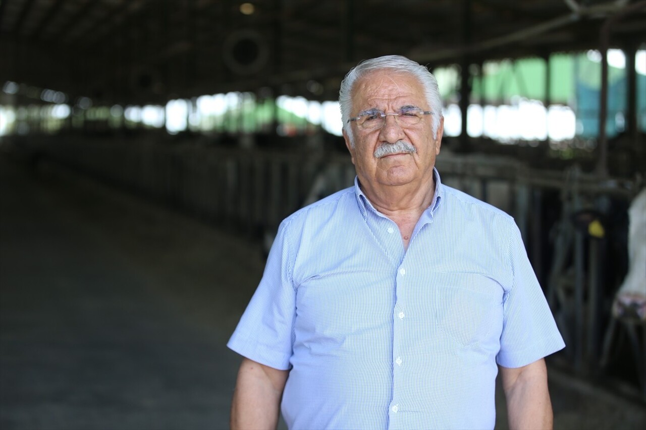 Kırklareli'nde süt üretim işletmesi elektrik ihtiyacını devlet desteği ile kurduğu güneş enerji...