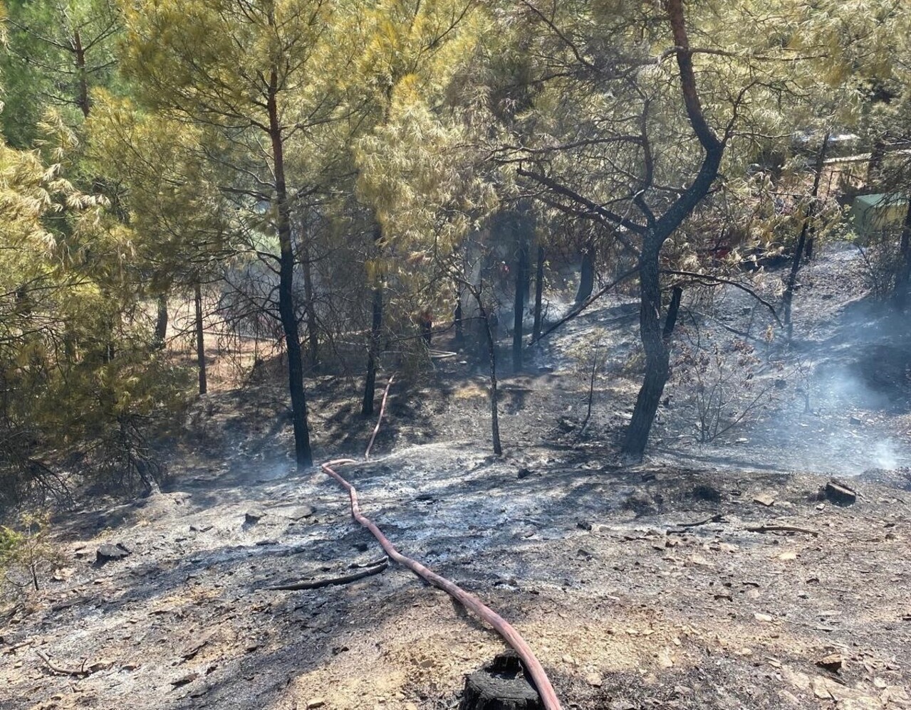 Amasya'da çıkan orman yangınında 1,5 hektar alan zarar gördü.