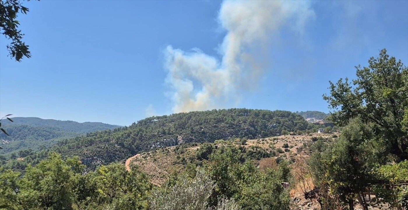 Antalya'nın Kaş ilçesi Çataloluk Mahallesi'ndeki ormanlık alanda henüz belirlenemeyen nedenle...