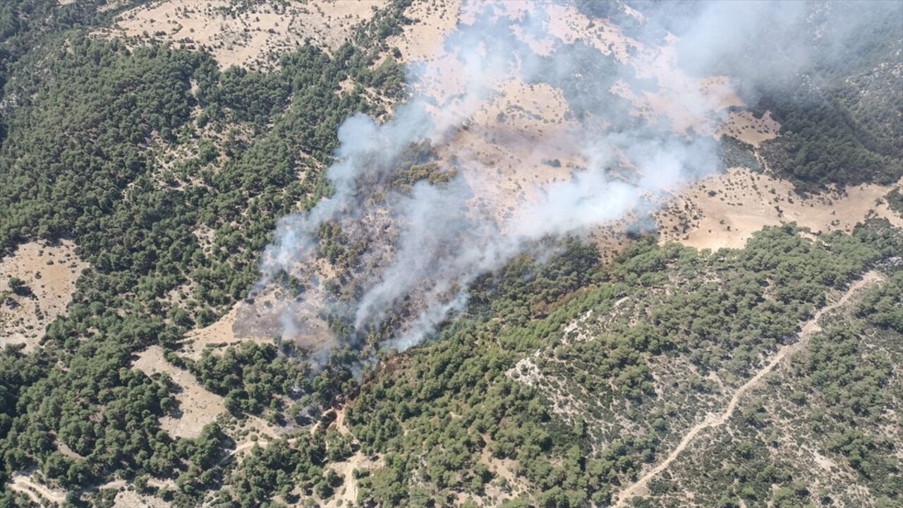 Antalya'nın Kaş ilçesi Çataloluk Mahallesi'ndeki ormanlık alanda henüz belirlenemeyen nedenle...