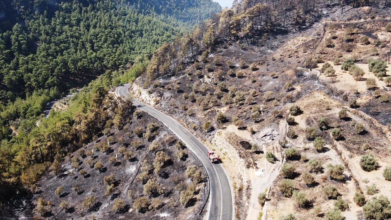 Muğla'nın Menteşe ilçesinde 2 gün önce ormanlık alanda çıkan yangına müdahale havadan ve karadan...