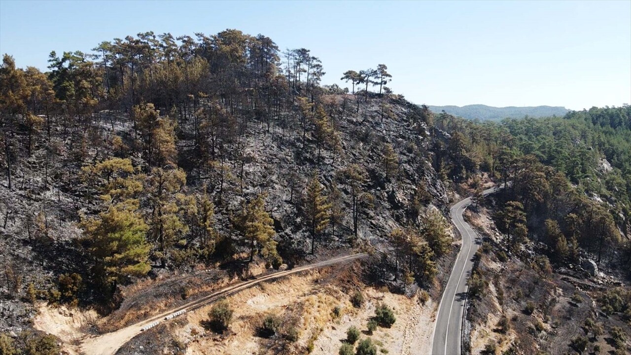 Muğla'nın Menteşe ilçesinde 2 gün önce ormanlık alanda çıkan yangına müdahale havadan ve karadan...