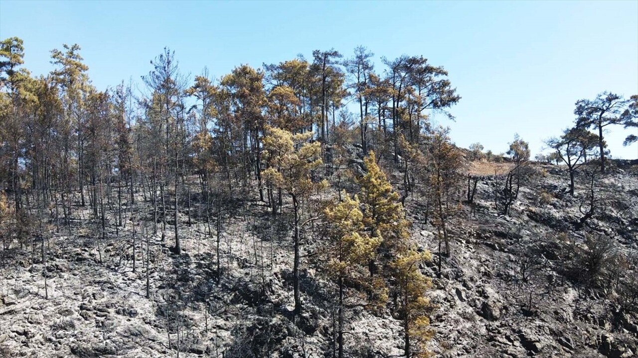 Muğla'nın Menteşe ilçesinde 2 gün önce ormanlık alanda çıkan yangına müdahale havadan ve karadan...