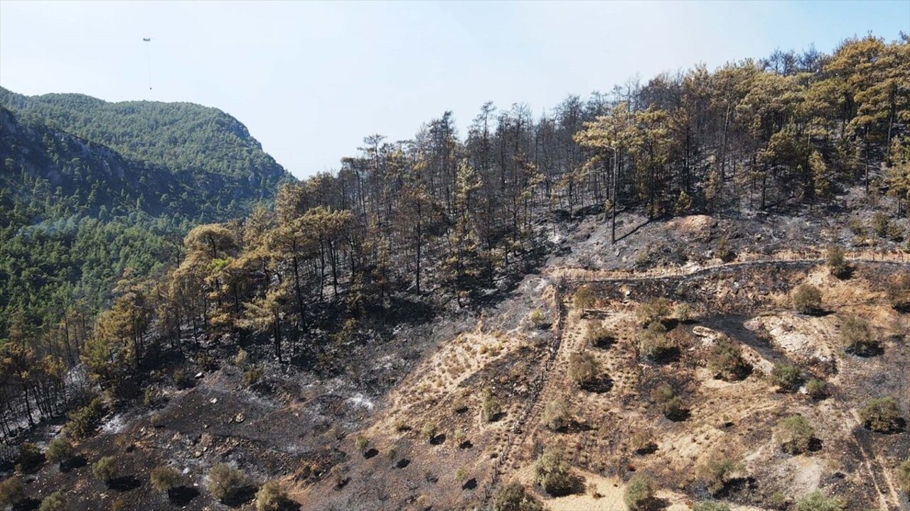 Muğla'nın Menteşe ilçesinde 2 gün önce ormanlık alanda çıkan yangına müdahale havadan ve karadan...