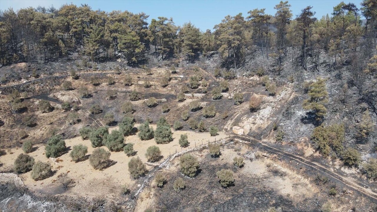 Muğla'nın Menteşe ilçesinde 2 gün önce ormanlık alanda çıkan yangına müdahale havadan ve karadan...