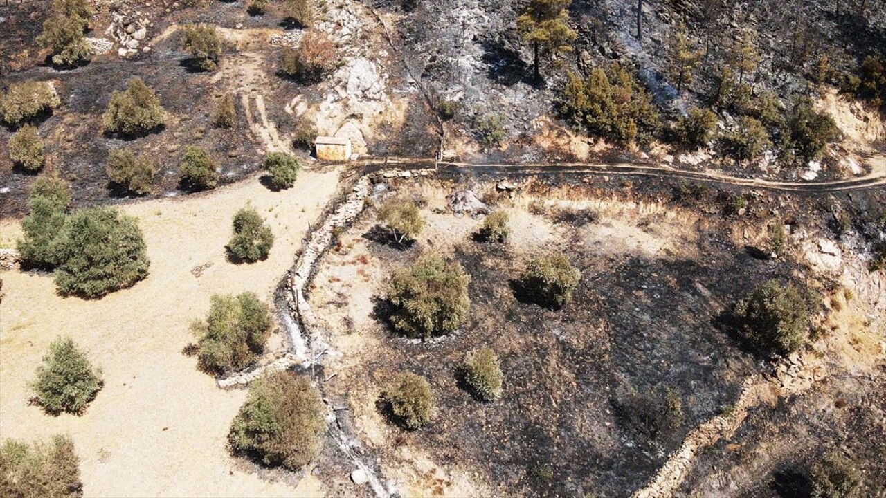 Muğla'nın Menteşe ilçesinde 2 gün önce ormanlık alanda çıkan yangına müdahale havadan ve karadan...