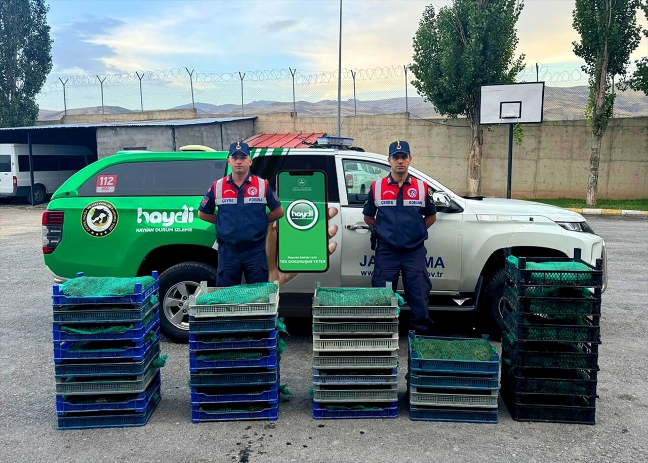 Ağrı'nın Doğubayazıt ilçesinde, İl Jandarma Komutanlığı Çevre, Doğa ve Hayvanları Koruma Timi, bir...