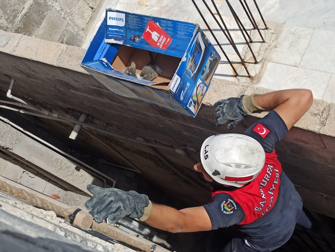 Şanlıurfa'nın merkez Eyyübiye ilçesinde bir evin havalandırma boşluğuna düşen 2 kedi yavrusu...