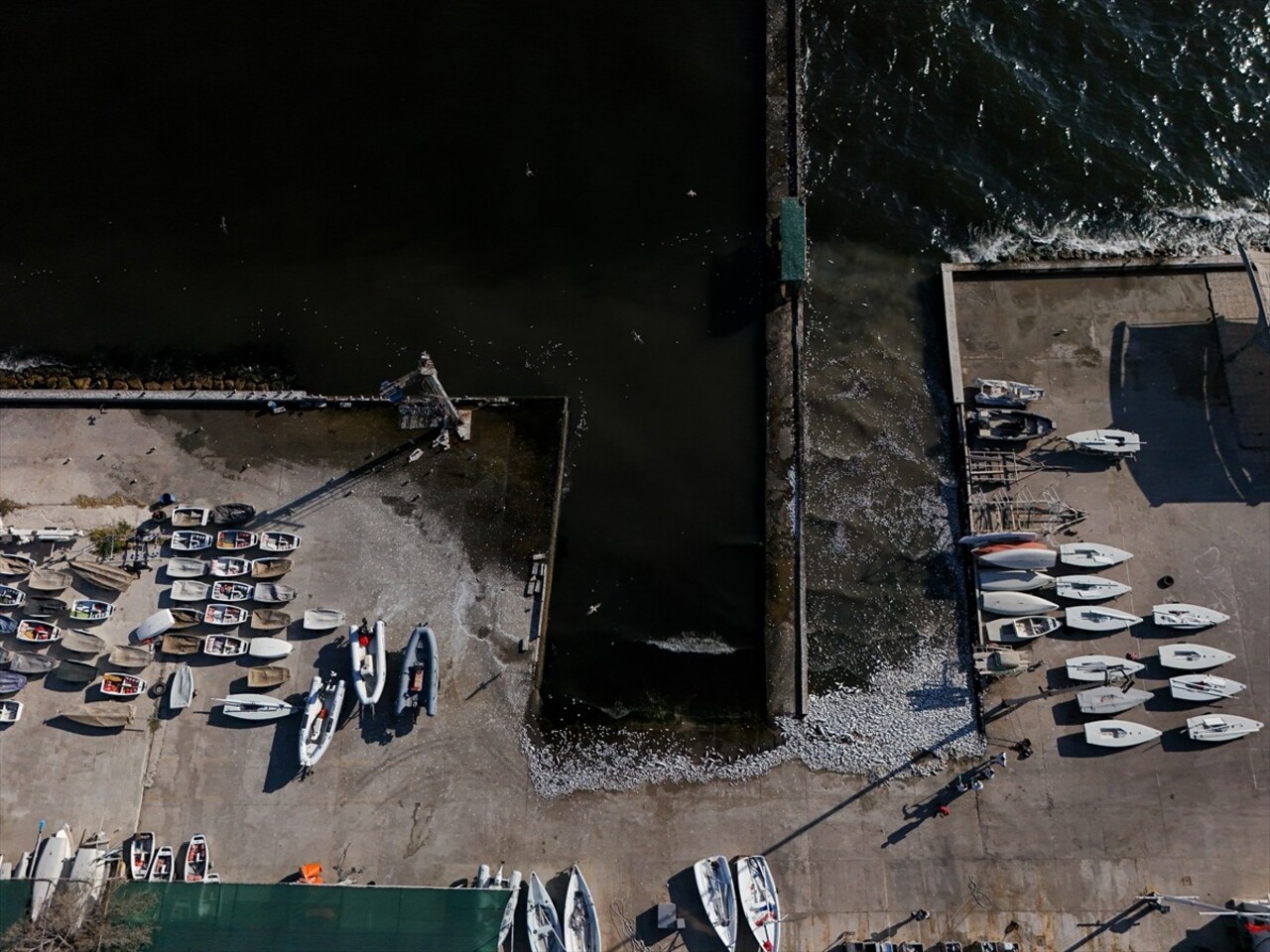 İzmir Körfezi'nde kirliliğin etkisiyle çok sayıda ölü balığın kıyıya vurduğu görüldü. Deniz suyu...