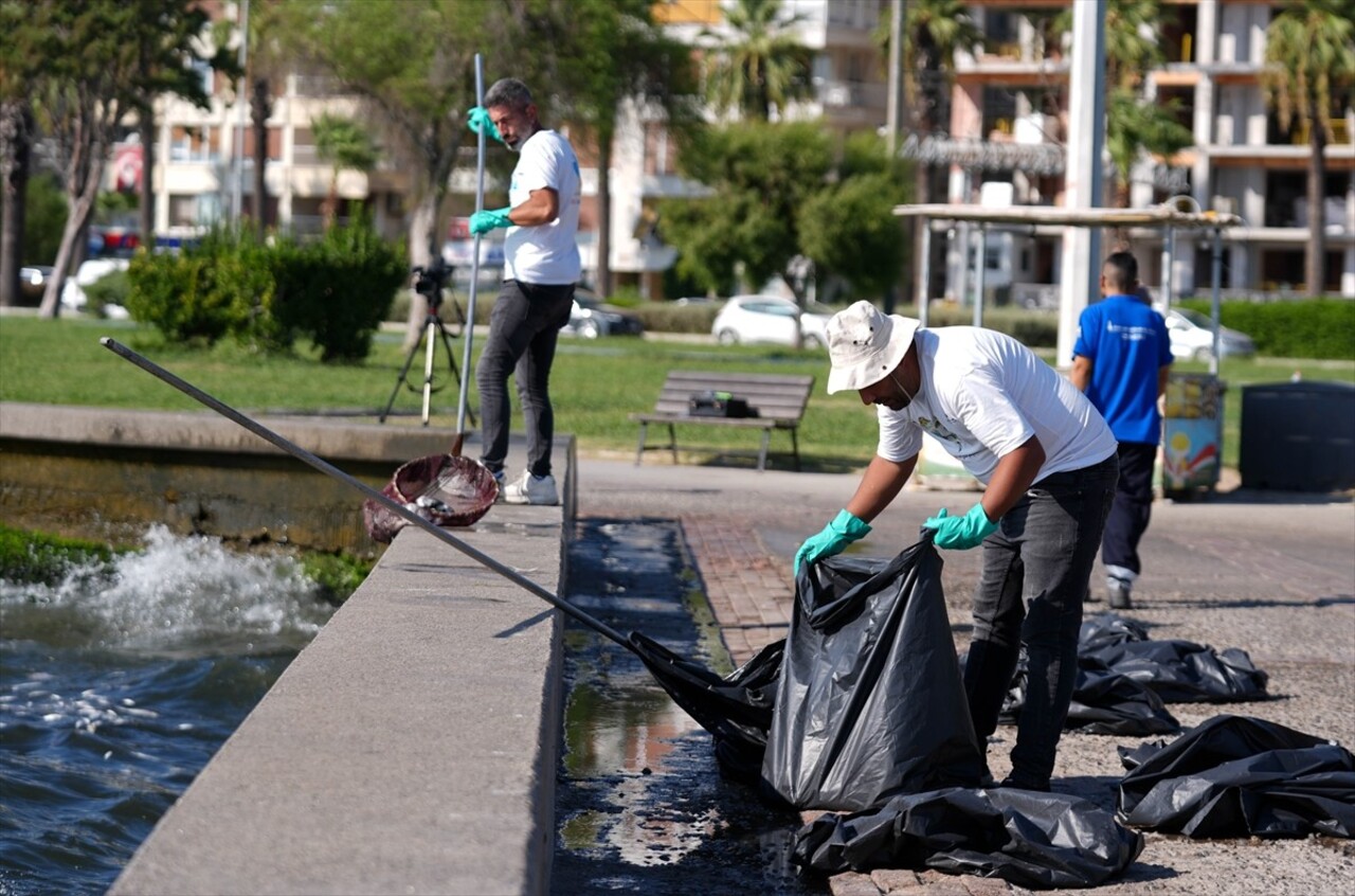 İzmir Körfezi'nde kirliliğin etkisiyle çok sayıda ölü balığın kıyıya vurduğu görüldü. Deniz suyu...