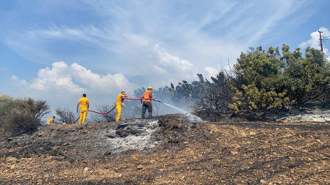 Antalya'nın Gazipaşa ilçesinde otluk alanda çıkarak muz bahçelerine sıçrayan yangın, ekiplerin...