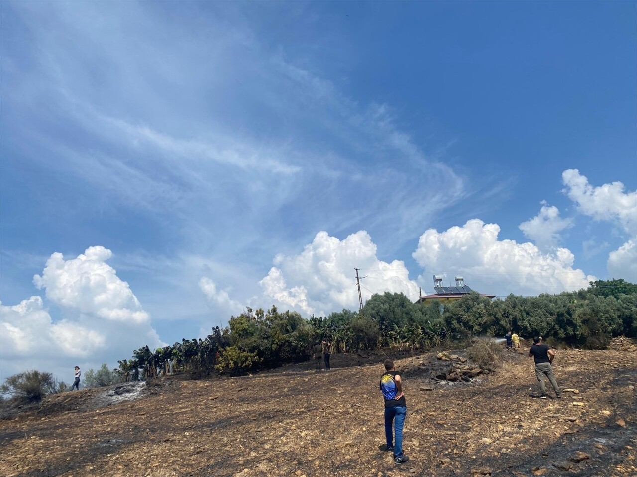 Antalya'nın Gazipaşa ilçesinde otluk alanda çıkarak muz bahçelerine sıçrayan yangın, ekiplerin...