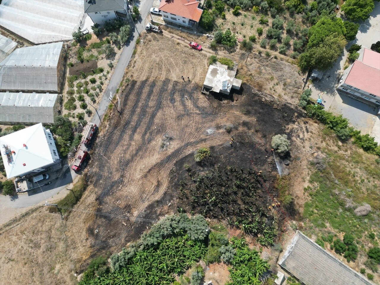 Antalya'nın Gazipaşa ilçesinde otluk alanda çıkarak muz bahçelerine sıçrayan yangın, ekiplerin...