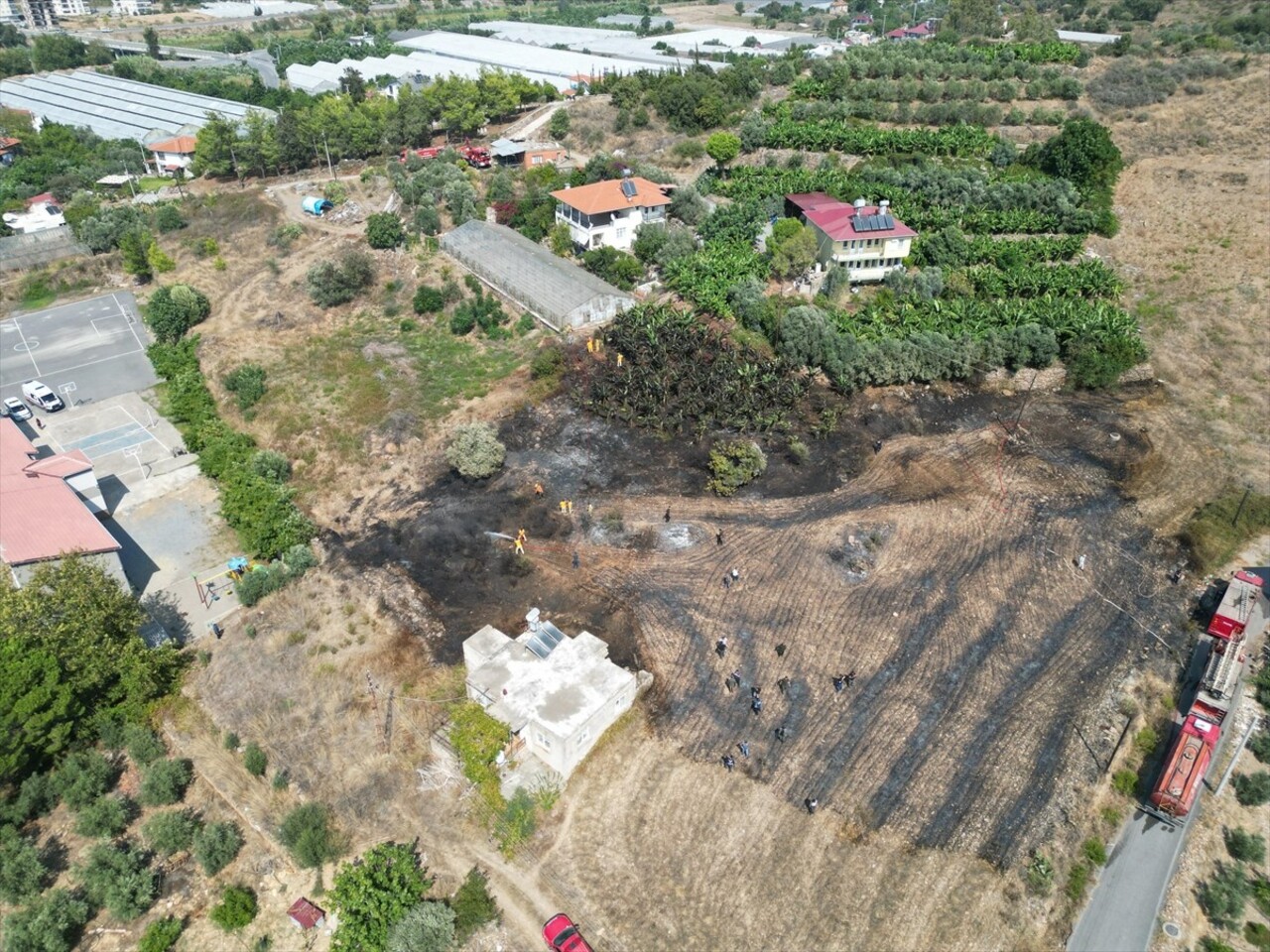 Antalya'nın Gazipaşa ilçesinde otluk alanda çıkarak muz bahçelerine sıçrayan yangın, ekiplerin...