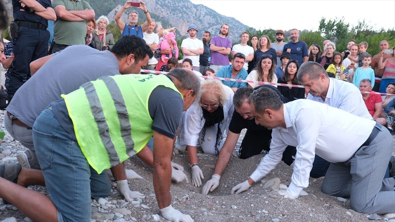 Antalya'nın Kemer ilçesindeki Çıralı sahilinde 180 yuvadan çıkan yaklaşık 4 bin caretta caretta...