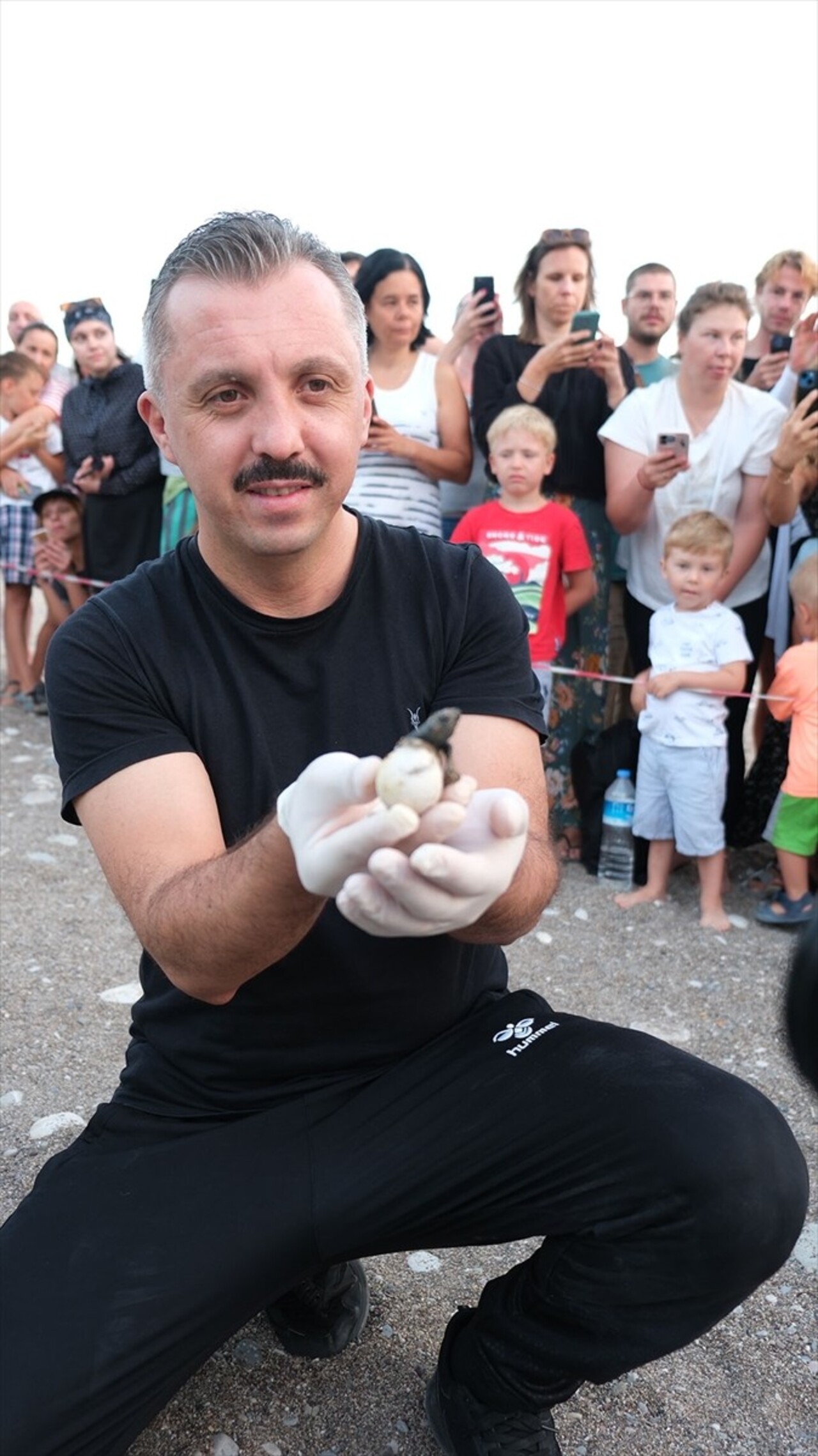 Antalya'nın Kemer ilçesindeki Çıralı sahilinde 180 yuvadan çıkan yaklaşık 4 bin caretta caretta...