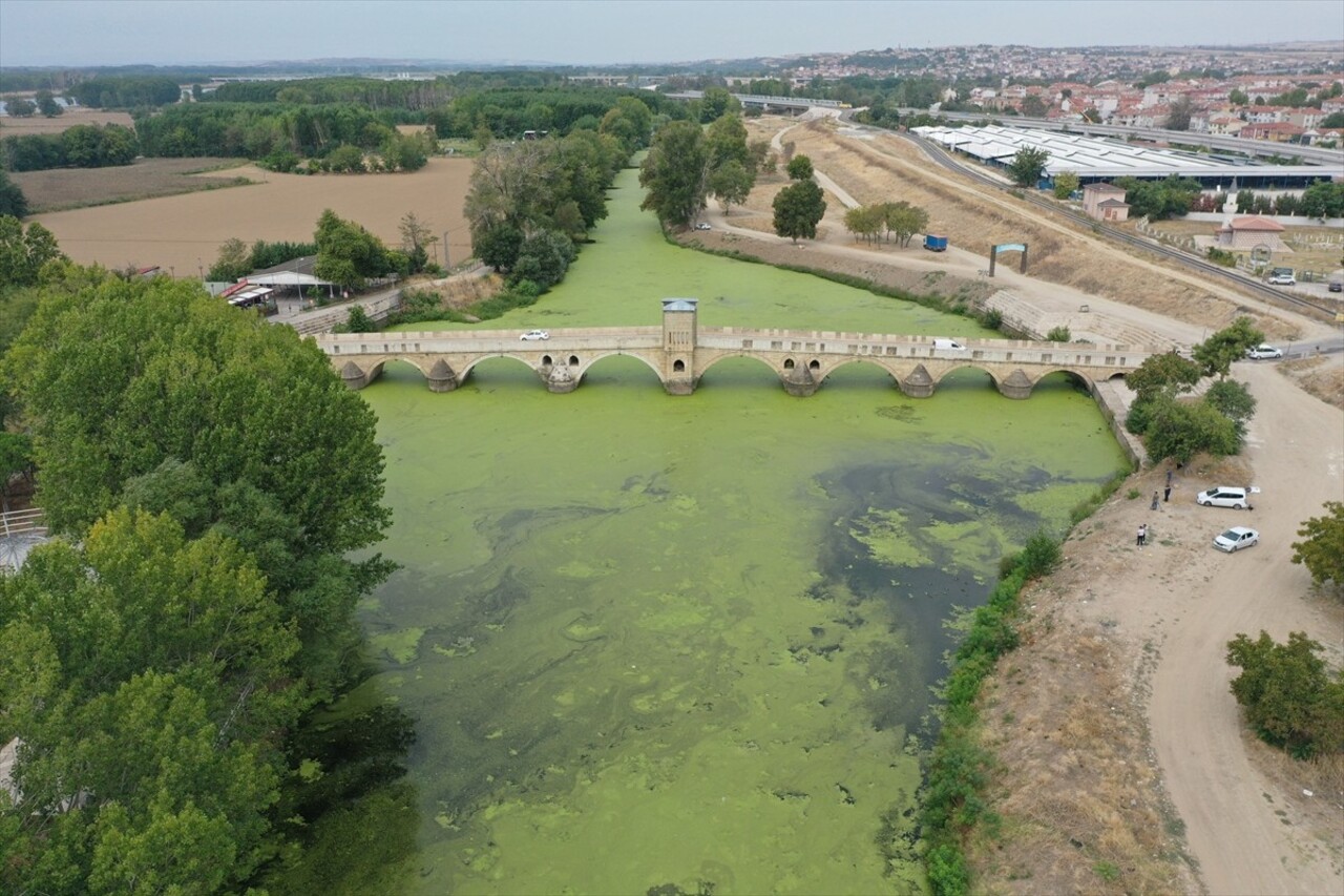 Tunca Nehri'nin yüzeyinde oluşan yosun ve su mercimeklerinin yayılım alanı arttı. Debisi saniyede...