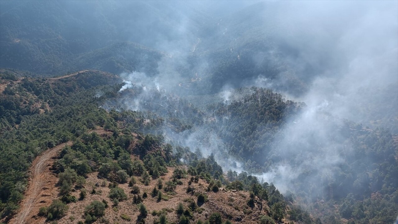 Hatay'ın Antakya ilçesinde ormanlık alanda çıkan yangın, havadan ve karadan müdahaleyle kontrol...