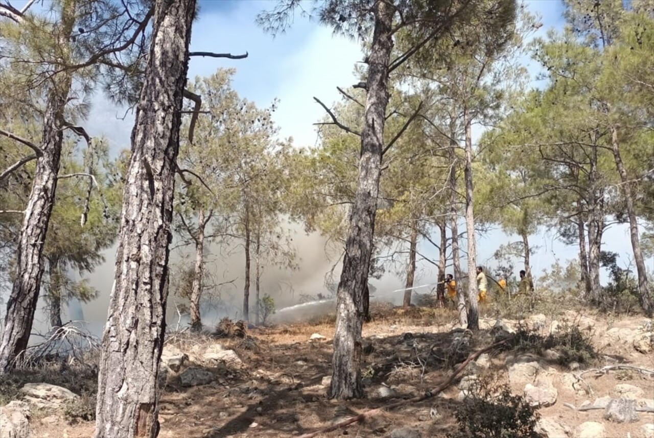 Mersin'in Gülnar ilçesinde ormanlık alanda çıkan yangın, ekiplerin müdahalesiyle kontrol altına...