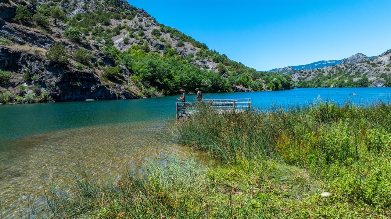 Tokat'ın Almus ilçesinde bulunan Harami Yaylası, olta balıkçılığı yapanların gözdesi haline geldi....