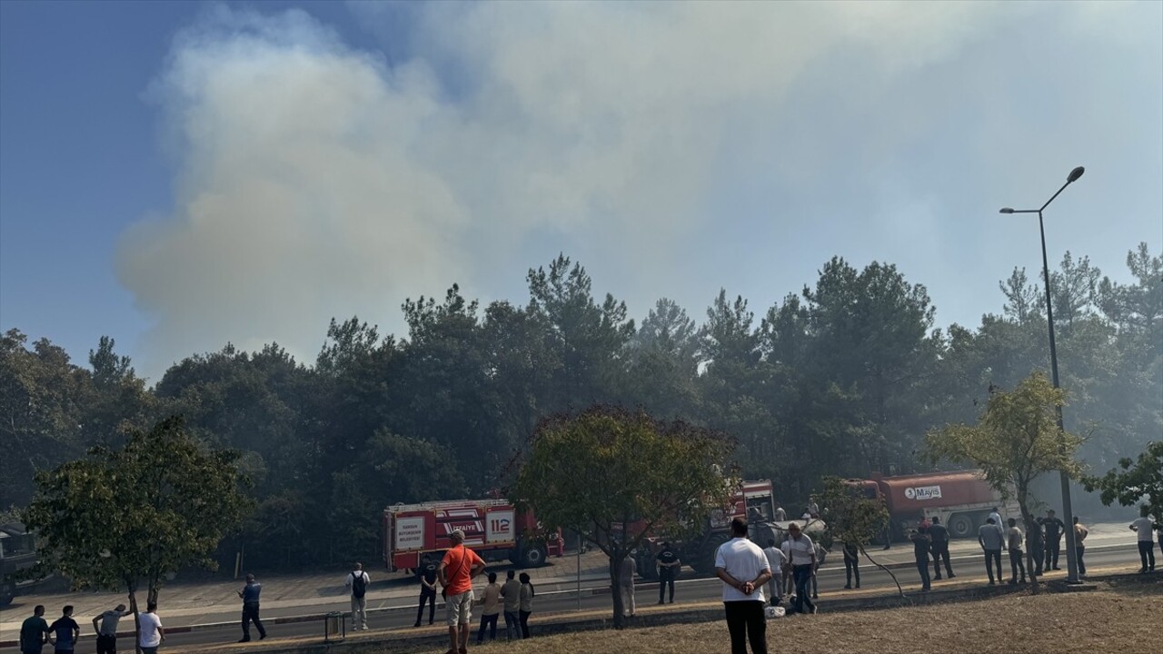 Ondokuz Mayıs Üniversitesi (OMÜ) kampüsündeki ormanlık alanda çıkan yangın söndürülmeye...