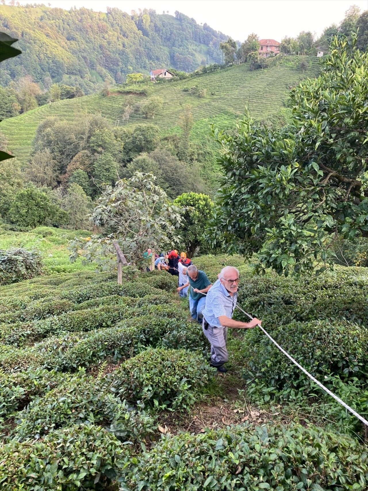 Rize'nin Pazar ilçesinde ilkel teleferiğin telinin kopması üzerine kendisini bahçeye atan kadın...