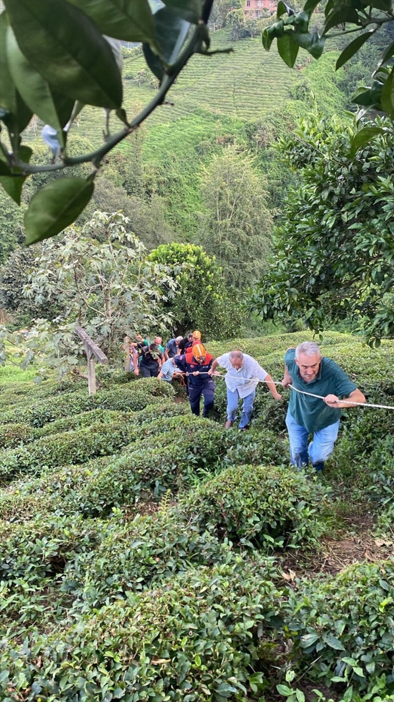 Rize'nin Pazar ilçesinde ilkel teleferiğin telinin kopması üzerine kendisini bahçeye atan kadın...