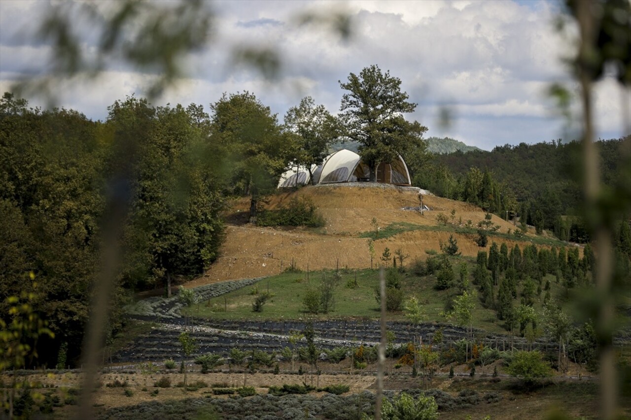 Bosna Hersek'in Visoko kenti yakınlarında bir park, Vincent van Gogh'un "Yıldızlı Gece" adlı...