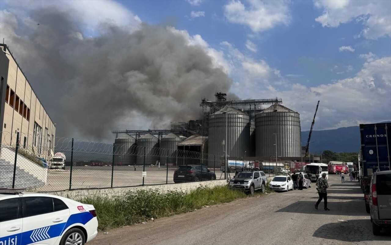 Sakarya'nın Hendek ilçesindeki bir makarna fabrikasında meydana gelen patlamada ilk belirlemelere...