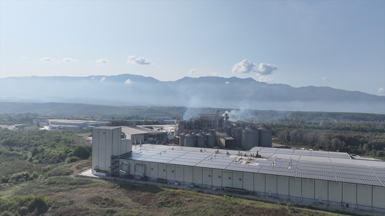 Sakarya'nın Hendek ilçesinde 1 kişinin öldüğü, 30 kişinin yaralandığı makarna fabrikasındaki...