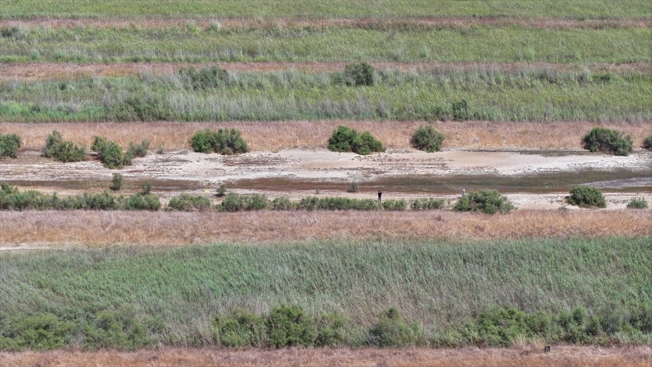 Antalya'nın Manavgat ilçesinde 25 yıldır bekçilik yaptığı 500 dönümlük arazide yıllık 3 ton deniz...