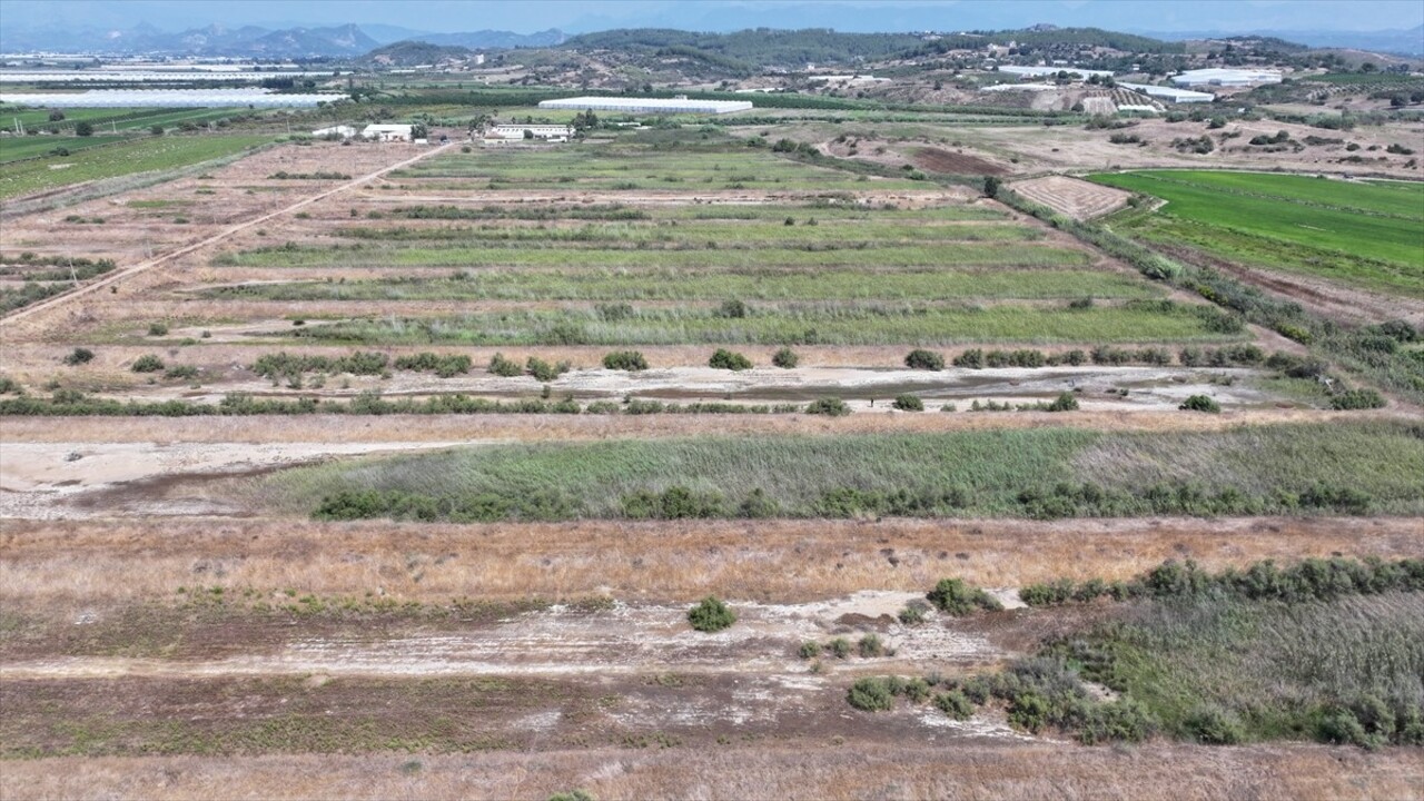 Antalya'nın Manavgat ilçesinde 25 yıldır bekçilik yaptığı 500 dönümlük arazide yıllık 3 ton deniz...