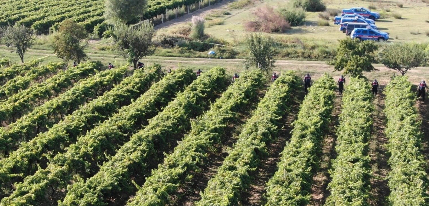 Manisa'nın Salihli ilçesinde üzüm bağında silahla vurulan çiftçi hayatını kaybetti. Jandarma...