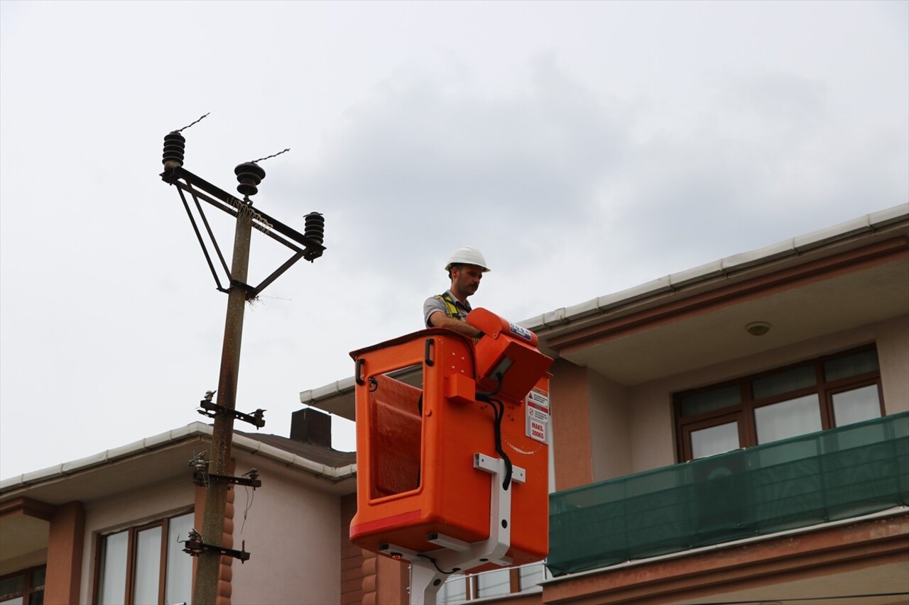 Tekirdağ'da bir elektrik direğinde kumru yuvası olduğunu fark eden elektrik bakım ekipleri, kuş...