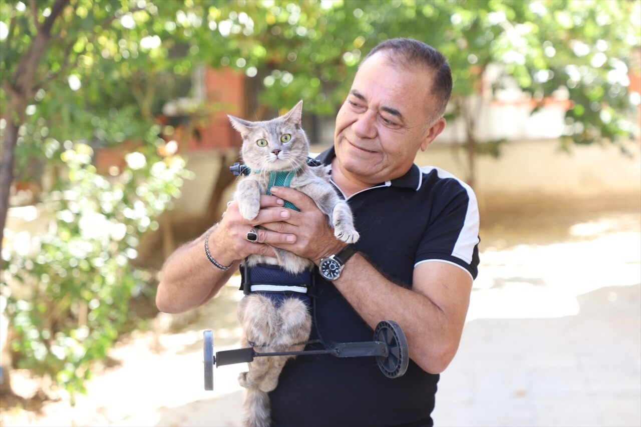 Denizli'nin Pamukkale ilçesinde hayvansever esnaf Şahin Bozdağ, arka ayaklarını kullanamayan kedi...