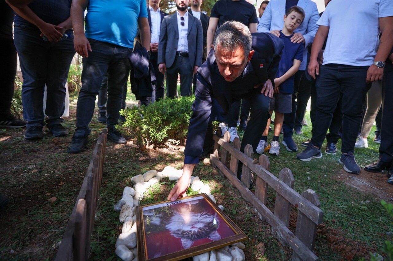 Tedavi gördüğü klinikte ölen kedi Şero, CHP Genel Merkezi'nin bahçesine gömüldü. Genel Başkan...