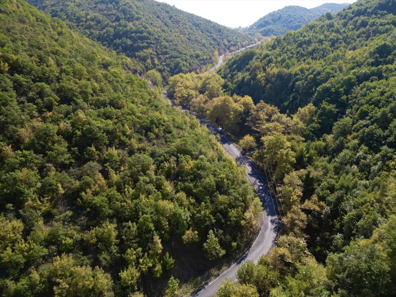 Tekirdağ'daki Ganos Dağı'nın eteklerindeki ormanlarda sonbaharın renkleri kendini göstermeye...