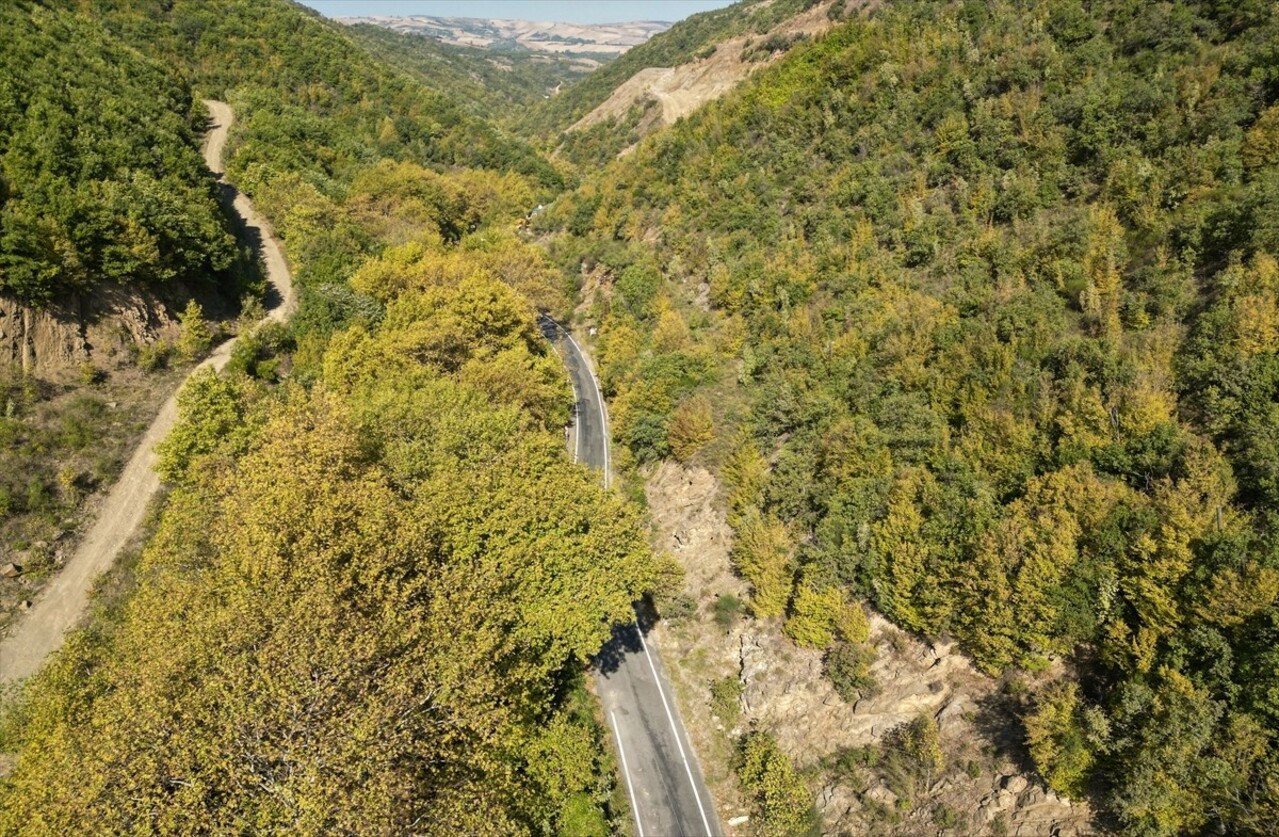 Tekirdağ'daki Ganos Dağı'nın eteklerindeki ormanlarda sonbaharın renkleri kendini göstermeye...